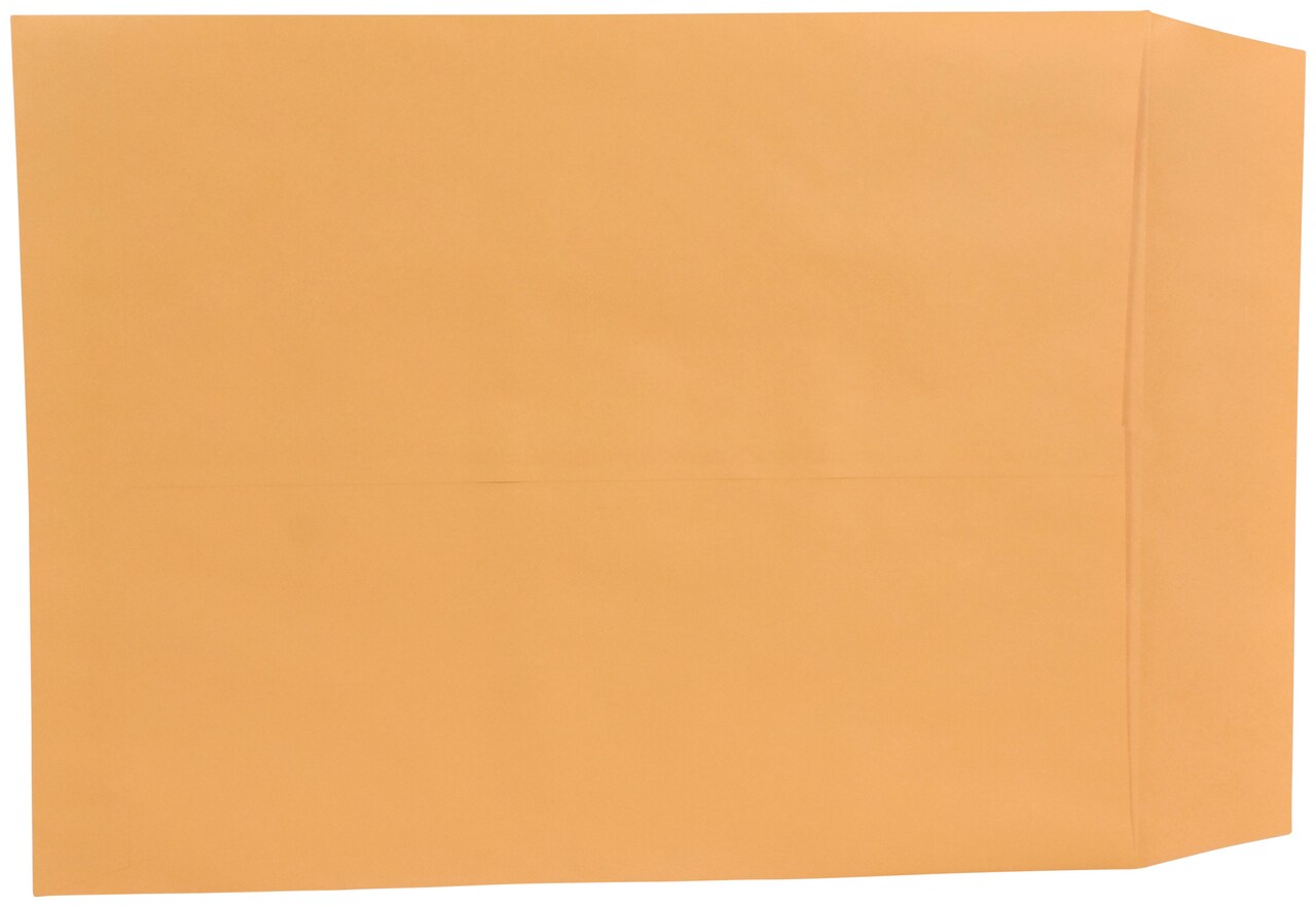 School Smart Catalog Envelopes with Ungummed Flaps, 14 x 18 Inches, Kraft Brown, Pack of 25